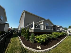 Tree and shrub planting in wadsworth