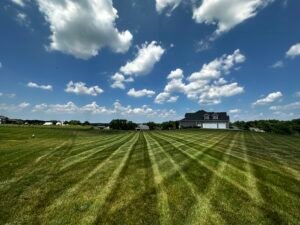 Lawn Maintenance in Medina