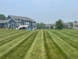 Lawn Care in Medina