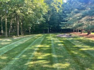 Lawn Mowing in Medina