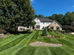 Lawn Mowing in Wadsworth